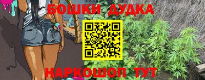 индика Баксан