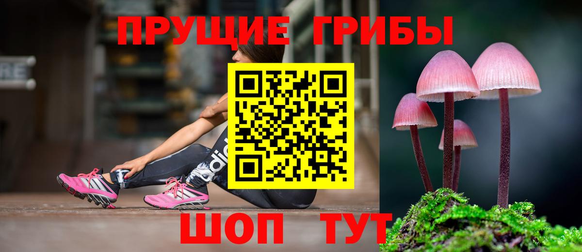 Галлюциногенные грибы мухоморы Нижний Новгород